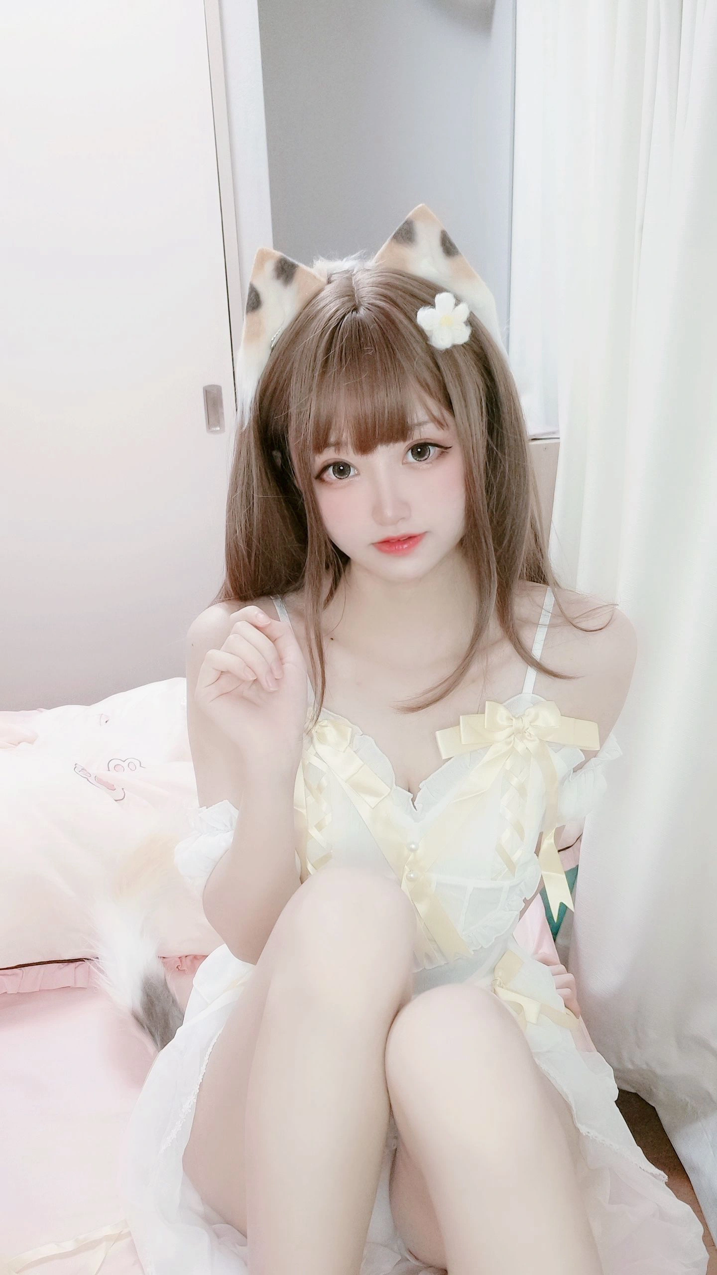千阳(ちよ) - NO.42 三花猫～ 2